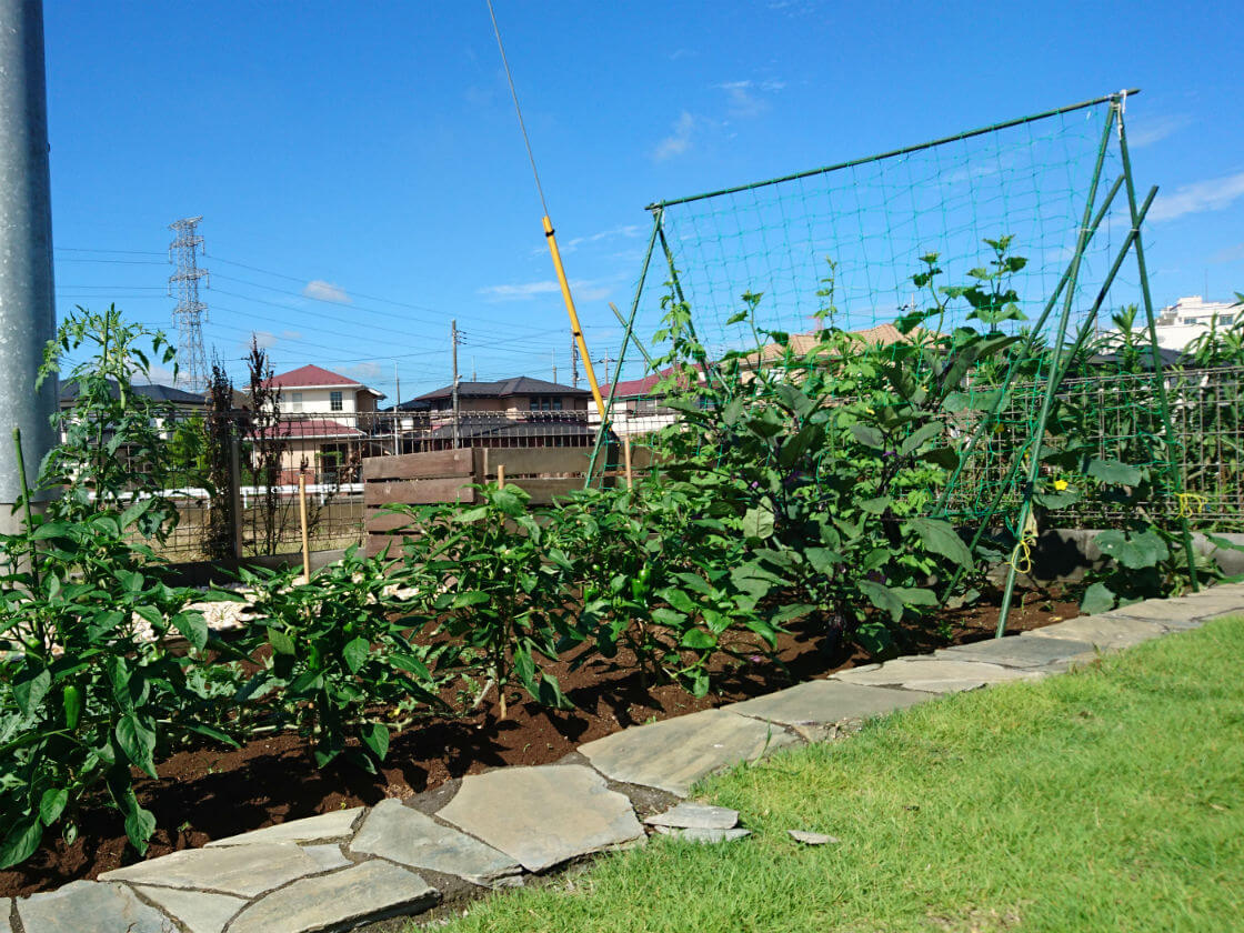 外講 エクステリア Diy 芝と畑と植栽ゾーンを作る