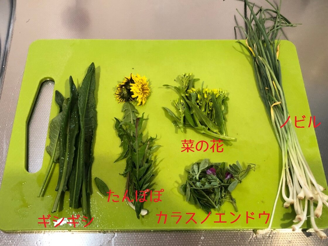 隣の空き地の草を食べる