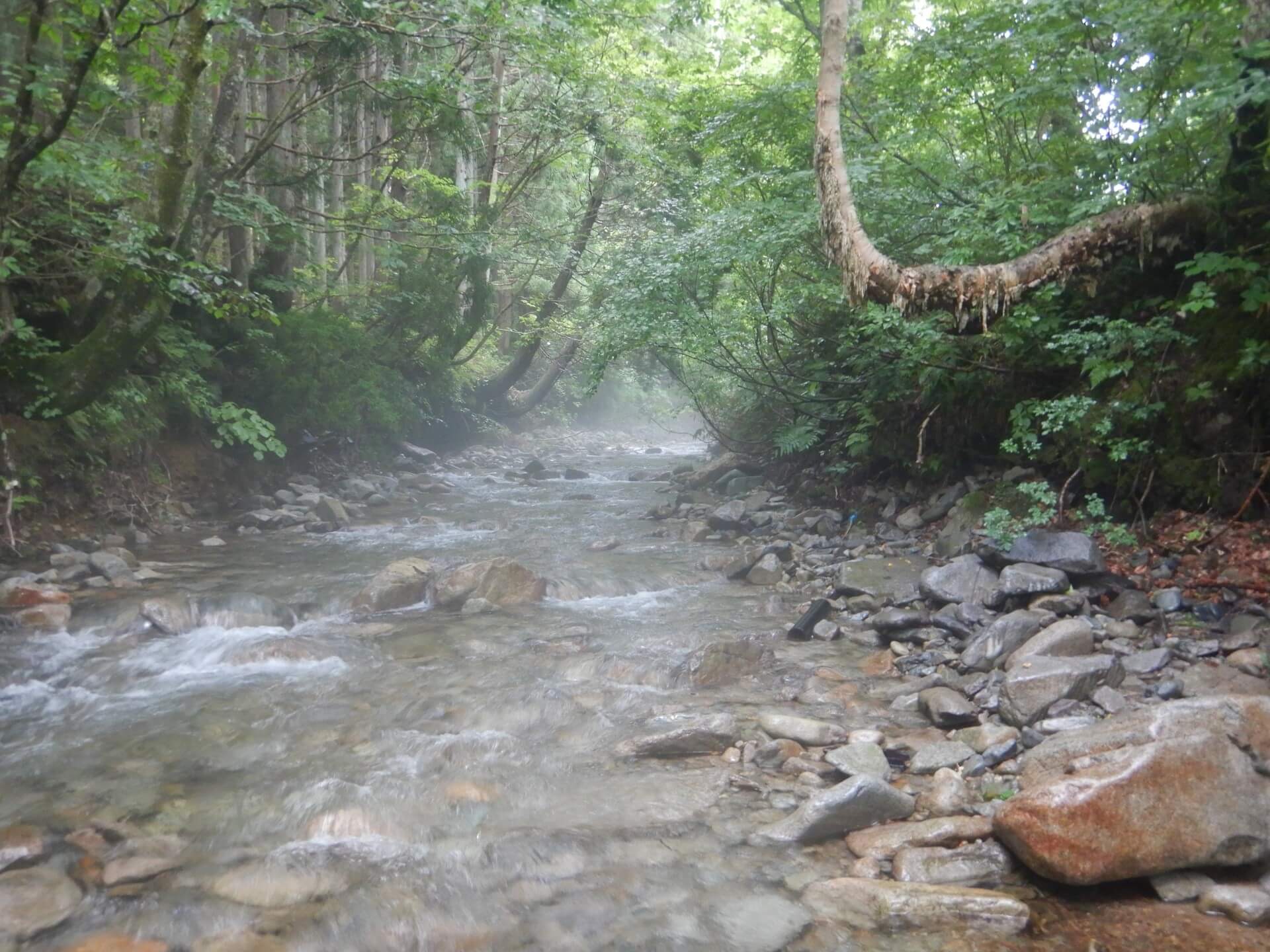 新潟 湯沢 梅雨のフライフィッシング