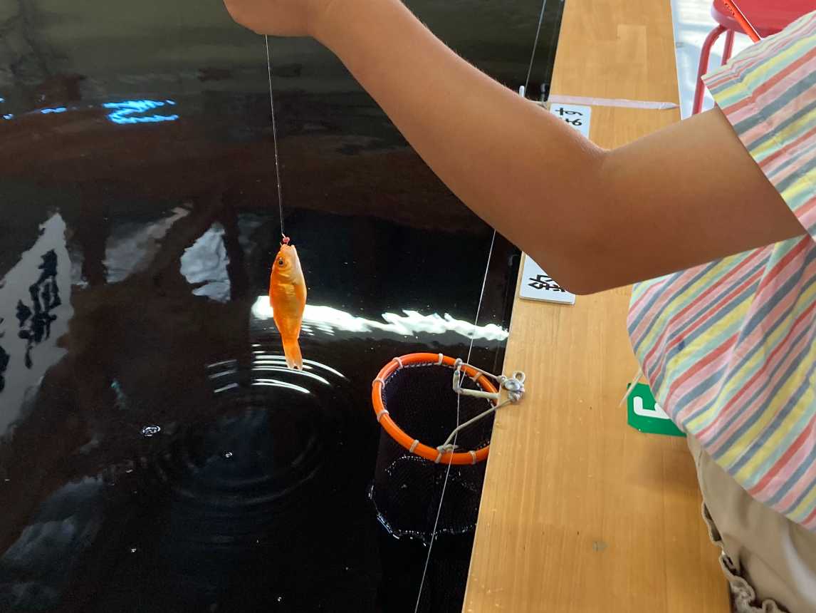 滑川キンギョ釣りセンター こんな釣りもいいんじゃない 滑川キンギョ釣りセンター こんな釣りもいいんじゃない